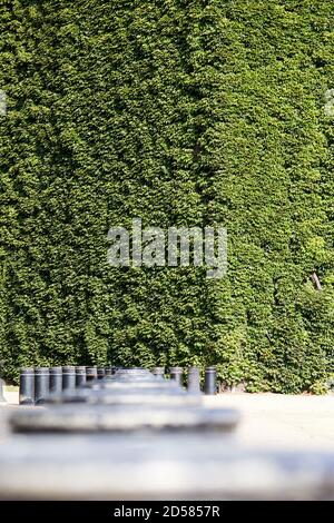 Londres, Royaume-Uni. - 22 septembre 2020 : la Citadelle d'Amirauté en béton recouvert d'ivy à Horse Guards Parade. Le commandement et le contrôle fortement fortifiés et à l'épreuve des bombes f Banque D'Images