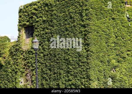 Londres, Royaume-Uni. - 22 septembre 2020 : la Citadelle d'Amirauté en béton recouvert d'ivy à Horse Guards Parade. Le commandement et le contrôle fortement fortifiés et à l'épreuve des bombes f Banque D'Images