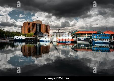 Célèbre Constitution Dock et Fish Market à Hobart. Banque D'Images