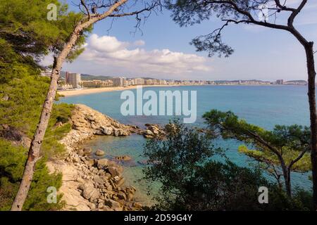 Vue panoramique de la baie de Palamos vue de la Torre Valentina sur le chemin côtier de St Antoni Calonge à la plage d'Aro. Costa Brava, Catalogne, SP Banque D'Images