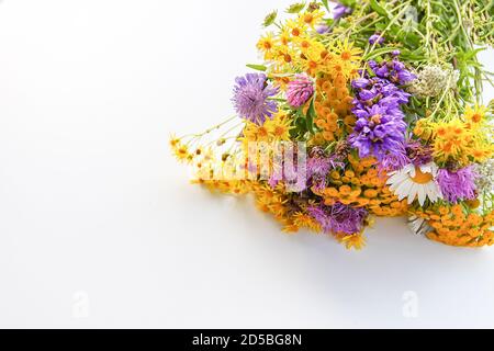 Bouquet de fleurs d'été sauvages en terre de tansy, de Marguerite blanche et de terrier épineux. Banque D'Images