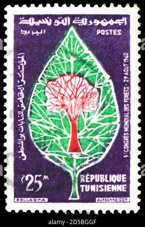 MOSCOU, RUSSIE - 28 SEPTEMBRE 2020: Timbre-poste imprimé en Tunisie montre le 5ème Congrès mondial des forêts à Seattle, série, vers 1960 Banque D'Images