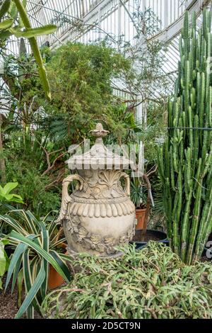 Jardins botaniques de Belfast, Palm House. Banque D'Images