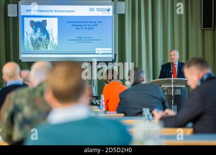 Schwerin, Allemagne. 13 octobre 2020. Till Backhaus (SPD), ministre de l'Agriculture de Mecklembourg-Poméranie-Occidentale, prend la parole lors d'une conférence sur la peste porcine africaine (ASP) au ministère de l'Agriculture à côté d'un écran de projection. Le ministre veut discuter des mesures à prendre en cas d'apparition de la maladie dans le Mecklembourg-Poméranie occidentale avec environ 30 représentants des districts, des institutions et des associations. La peste porcine africaine, qui est sans danger pour l'homme, a été détectée pour la première fois en Allemagne en septembre. Credit: Jens Büttner/dpa-Zentralbild/d/dpa/Alay Live News Banque D'Images