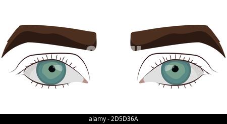 Yeux verts mâles. Partie du visage dans le style de dessin animé. Illustration de Vecteur