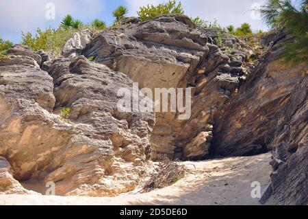 Gros plan de la formation de roche volcanique sur la plage rose de la plage de fer à cheval aux Bermudes. Texture naturelle de la formation de roche volcanique. Banque D'Images