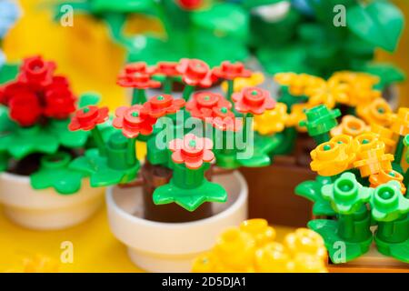 Fleurs Lego Banque D'Images