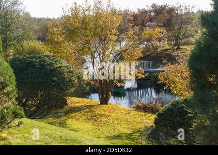 Parc avec pelouse verte, arbres, haies, buissons taillés en automne. Décor moderne. Banque D'Images