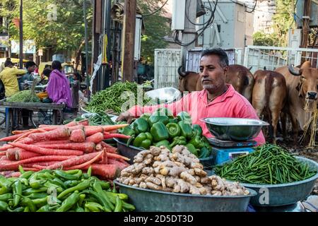 Jamnagar, Gujarat, Inde - décembre 2018 : un vendeur indien de légumes dans les rues commerçantes de la ville de Jamnagar. Banque D'Images