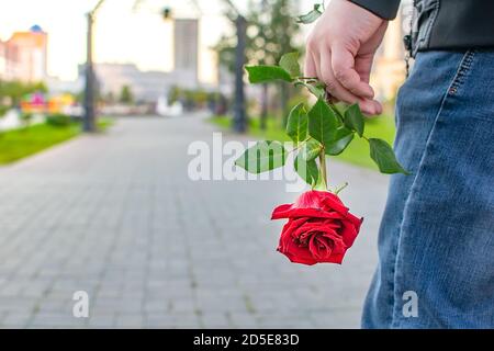 Rose rouge Bud dans la main d'un homme attendant une fille dans la place de la ville, Park Banque D'Images