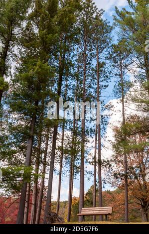 Un banc de parc devant les arbres au lac Red House à Red House, New York, États-Unis, le jour d'automne ensoleillé Banque D'Images