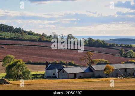 Terres agricoles du Devon Banque D'Images