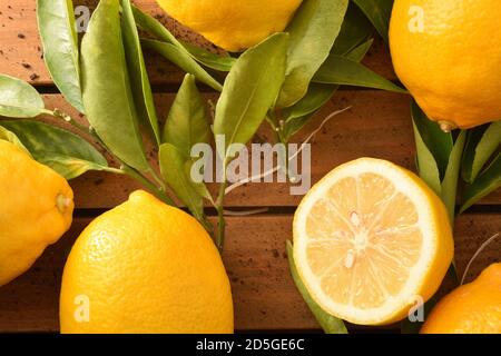 Fond de citrons d'agriculture biologique fraîchement cueillis avec des branches pleines de feuilles sur une base en bois avec du sol. Vue de dessus. Composition horizontale. Banque D'Images