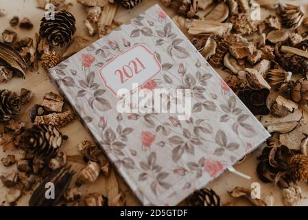 programme 2021 avec fruits et fleurs bruns séchés autour. Banque D'Images