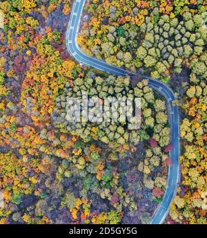 Pékin, Chine. 11 octobre 2020. La beauté de la réserve naturelle de la forêt de Labagoumen à l'automne à Beijing, en Chine, le 11 octobre 2020. (Photo par TPG/cnspotos) (photo par Top photo/Sipa USA) crédit: SIPA USA/Alay Live News Banque D'Images