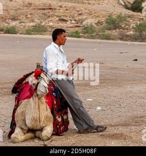 Petra, Jordanie 04/01/2010: Un guide touristique bédouin se penche sur son chameau en attendant les clients touristiques, tandis que l'animal est assis sur terre. Le Banque D'Images