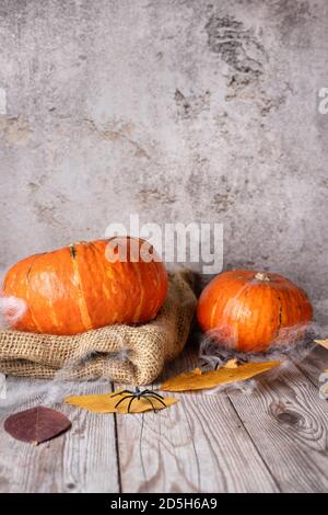 Composition rustique avec citrouilles, toile d'araignée et feuilles d'automne Banque D'Images