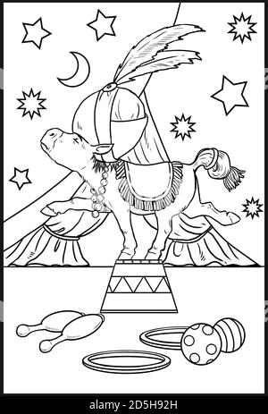 Drôle de magicien de licorne pour la coloration. Page de coloriage pour les amateurs de chevaux. Banque D'Images