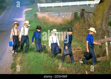 Les garçons Amish se prominnent jusqu'à l'école d'une pièce avec des seaux à déjeuner En main - Shipshewana Indiana Banque D'Images