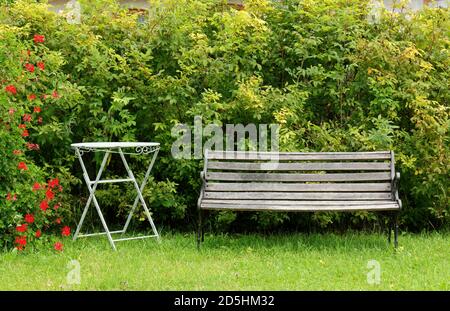 Banc et table en bois dans un jardin près de la haie Banque D'Images