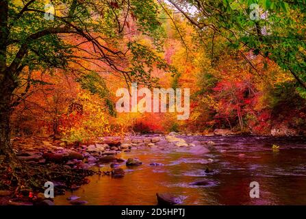 Feuillage d'automne se reflète dans un cours d'eau dans le Great Smoky Mountains National Park à New York. Banque D'Images