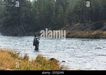 Un pêcheur de mouche sur la rivière Madison dans le parc national de Yellowstone, Wyoming. Banque D'Images