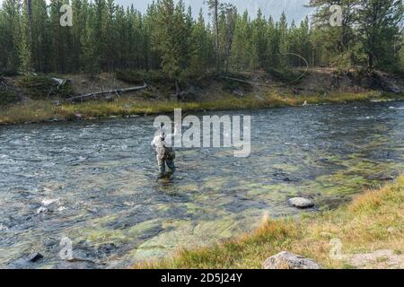 Un pêcheur de mouche sur la rivière Madison dans le parc national de Yellowstone, Wyoming. Banque D'Images