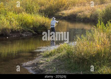 Un pêcheur pêche à la mouche sur Tin Cup Creek près de Wayan, Idaho. Banque D'Images