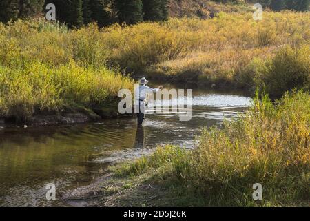 Un pêcheur pêche à la mouche sur Tin Cup Creek près de Wayan, Idaho. Banque D'Images