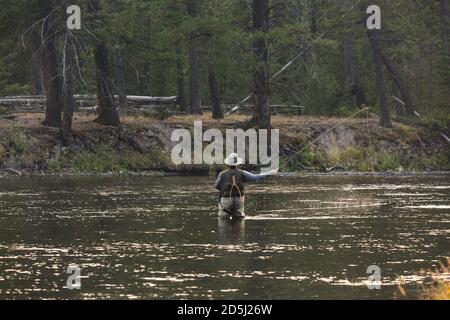 Un pêcheur de mouche sur la rivière Madison dans le parc national de Yellowstone, Wyoming. Banque D'Images