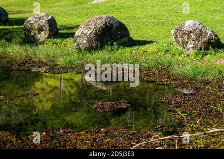 Vue partielle sur un petit lac couvert de plantes aquatiques avec une végétation verte et des rochers à proximité de la brasserie Wolkenburg, à Cunha, Sao Paulo - Brésil. Banque D'Images