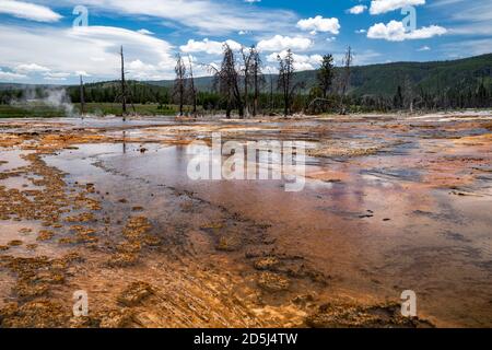 Sources chaudes de Biscuit Basin et geyser géothermique du parc national de Yellowstone, vue grand angle Banque D'Images