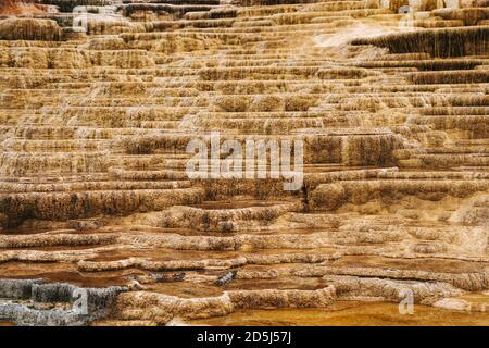 Vue rapprochée sur les terrasses minérales formées à Mammoth Hot Springs dans le parc national de Yellowstone. Utile pour les arrière-plans abstraits Banque D'Images