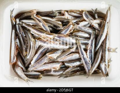 Photo en grand angle d'une pile de capelins crus Banque D'Images