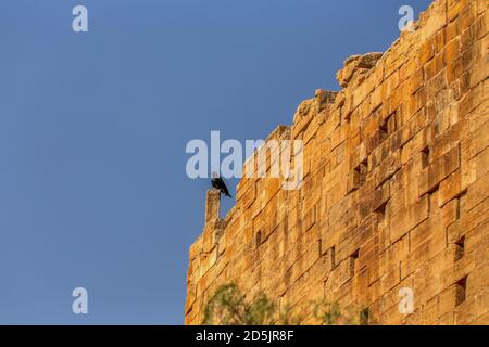 Mur du Grand Temple de la Lune de 700 av. J.-C. à Yeha, région du Tigré. La plus ancienne structure debout en Ethiopie et elle a servi de capitale de la Banque D'Images