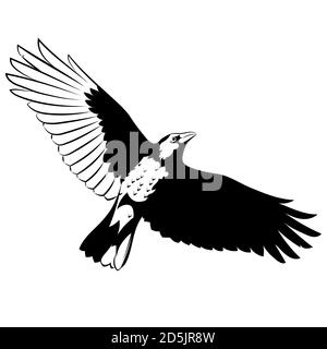 Volant Mighty Black Raven, corbeau, corbeau en vol Illustration de Vecteur