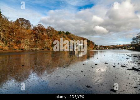 Lerryn ; River at Low Tide ; automne ; Cornwall ; Royaume-Uni Banque D'Images