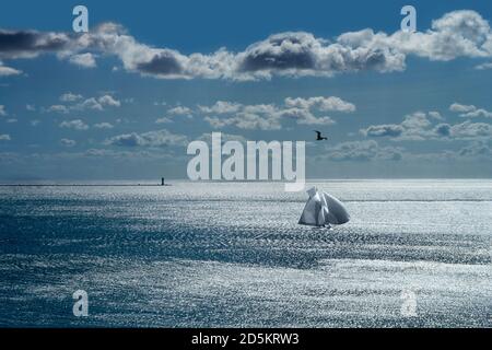 Bateau naviguant sur le Plymouth Sound, loisirs, concept d'évasion Banque D'Images