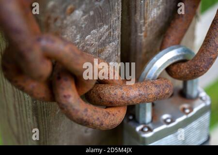 Cadenas en métal maintenant la porte fermée avec une chaîne rouillée. Sécurité protection de la campagne sécurité Banque D'Images