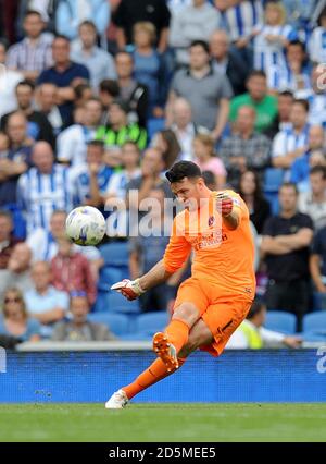 Stephen Henderson, gardien de but de Charlton Athletic, lors du match de championnat Sky Bet au stade AMEX de Brighton. Banque D'Images