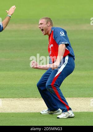 Andrew Flintooff, en Angleterre, célèbre le cricket de Jason, en Australie Gillespie Banque D'Images