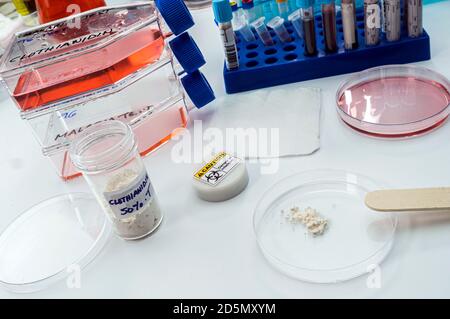 Recherche en laboratoire sur l'insecticide clothianidin, cause de la maladie du paludisme par la famille des moustiques malaria d'Anopheles, image conceptuelle Banque D'Images