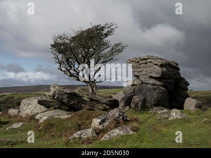 Parc national de Dartmoor, Devon, Royaume-Uni. 13 octobre 2020. Météo au Royaume-Uni : ciel enjambant Emsworthy Rocks, Holywell Tor Dartmoor près de Saddle Tor, Haytor Down, parc national de Dartmoor, Devon. Credit: Celia McMahon/Alamy Live News Banque D'Images