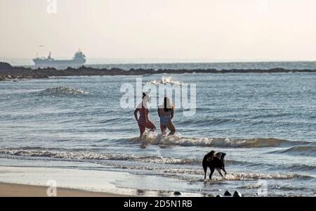 Langland Bay, Swansea, Royaume-Uni. 14 octobre 2020. Nageurs en mer ce matin, profitez au maximum du magnifique temps d'automne à Langland Bay près de Swansea. Comme d'autres régions du pays de Galles et du Royaume-Uni, Swansea est actuellement en confinement (à partir du 27 septembre 2020) suite à une forte augmentation des cas de coronavirus (COVID-19) dans la région du Conseil municipal de la ville et du comté de Swansea. Credit: Phil Rees/Alamy Live News Banque D'Images