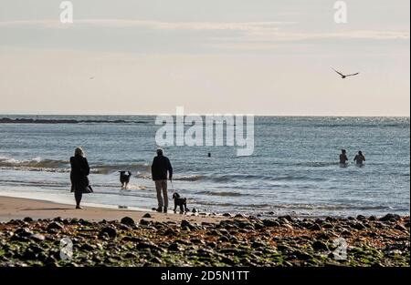 Langland Bay, Swansea, Royaume-Uni. 14 octobre 2020. Ce matin, les gens à l'extérieur et à l'extérieur de profiter au maximum de la magnifique météo d'automne à Langland Bay près de Swansea. Comme d'autres régions du pays de Galles et du Royaume-Uni, Swansea est actuellement en confinement (à partir du 27 septembre 2020) suite à une forte augmentation des cas de coronavirus (COVID-19) dans la région du Conseil municipal de la ville et du comté de Swansea. Credit: Phil Rees/Alamy Live News Banque D'Images