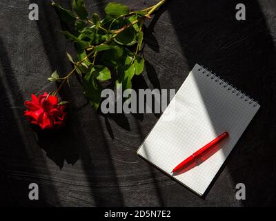 Rose rouge et Bloc-notes sur fond noir. Vue de dessus de l'agencement de l'appartement pour les vacances. De belles ombres et une lumière douce du soir sur le drain. Vide Banque D'Images