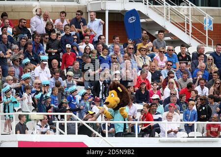 La mascotte de Surrey Caesar le Lion jette des t-shirts dans les tribunes pour les ventilateurs Banque D'Images