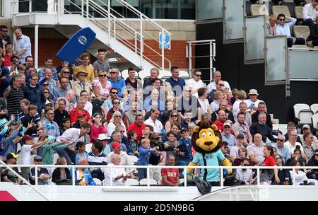 La mascotte de Surrey Caesar le Lion jette des t-shirts dans les tribunes pour les ventilateurs Banque D'Images