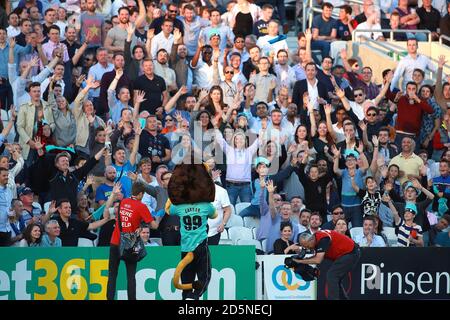 La mascotte de Surrey Caesar le Lion jette des t-shirts dans les tribunes pour les ventilateurs Banque D'Images