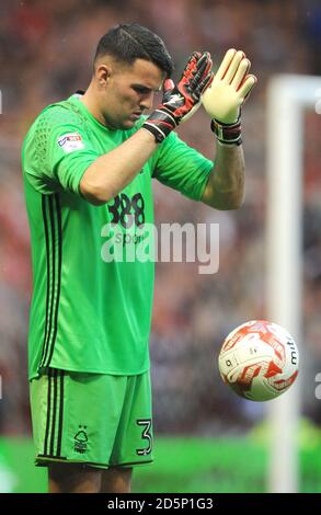 Stephen Henderson de la forêt de Nottingham. Banque D'Images